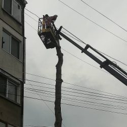Събаряне на дървета и рязане на дърва | Сливен и Ямбол