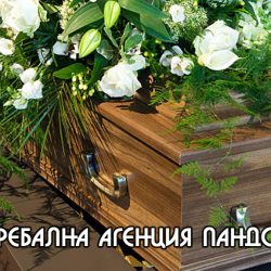 Цялостна организация на погребения от Пандора Т – град Пещера